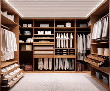 Modern Clothes Storage Area-ID:795225192