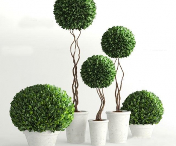 Modern Potted Green Plant-ID:992358979