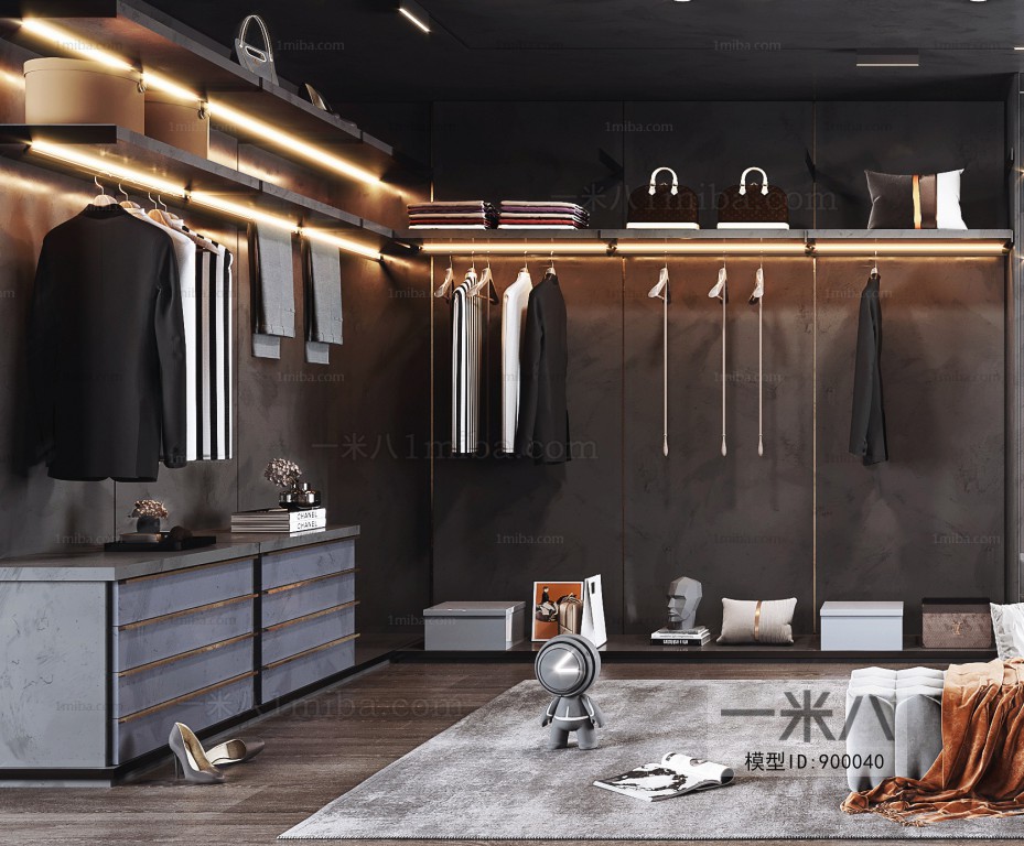 Modern Clothes Storage Area