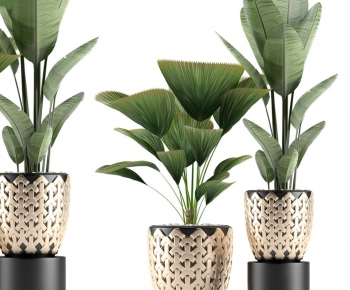 Modern Potted Green Plant-ID:441234774