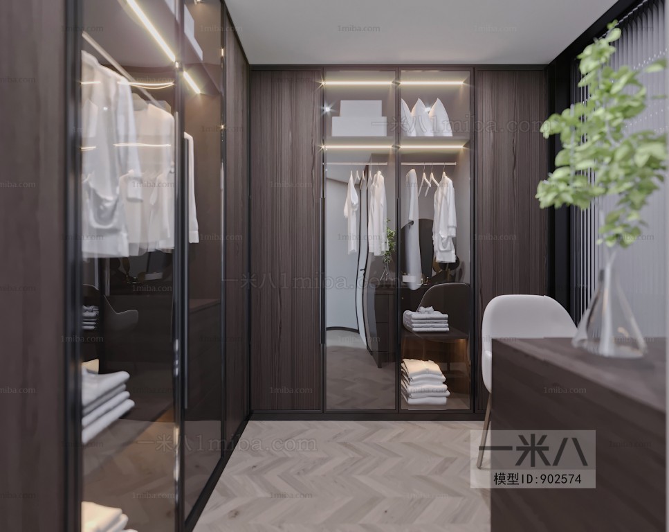 Modern Clothes Storage Area