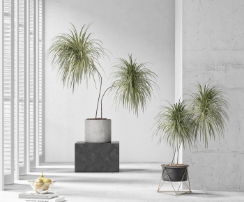 Modern Potted Green Plant-ID:775215943
