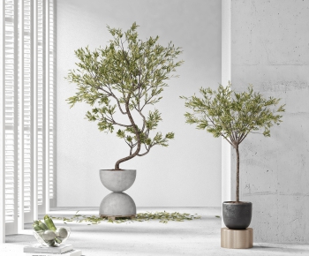 Modern Potted Green Plant-ID:439253762