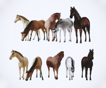 Modern Animal Horse-ID:765183227