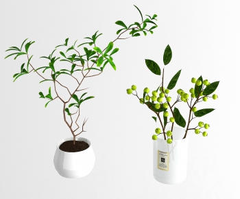 Modern Potted Green Plant-ID:623048516