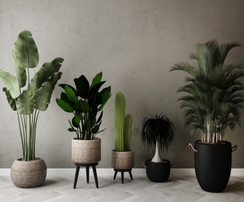 Modern Potted Green Plant-ID:877560942