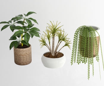 Modern Potted Green Plant-ID:469759568