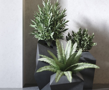 Modern Potted Green Plant-ID:768907865