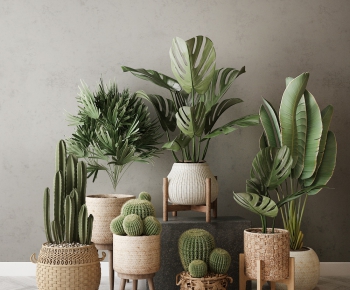 Modern Potted Green Plant-ID:852889481