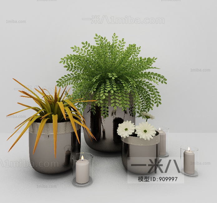 Modern Potted Green Plant