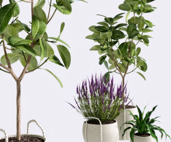 Nordic Style Potted Green Plant-ID:985328497