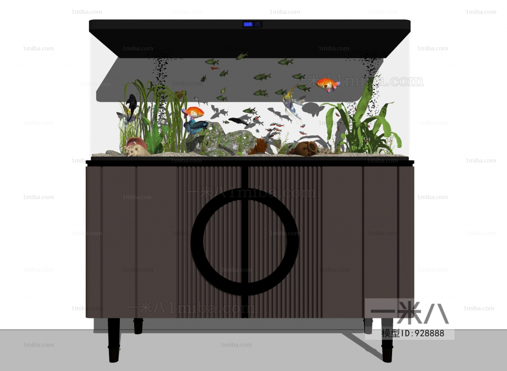 Modern Fish Tank