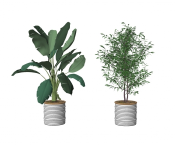 Modern Potted Green Plant-ID:832151855