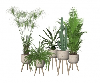 Modern Potted Green Plant-ID:330217213