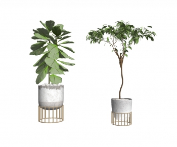 Modern Potted Green Plant-ID:876931767