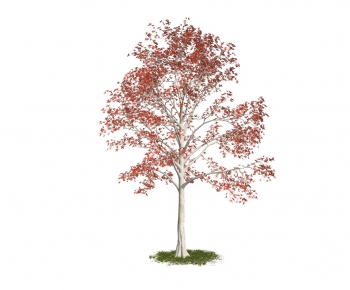 Modern Tree-ID:962580786