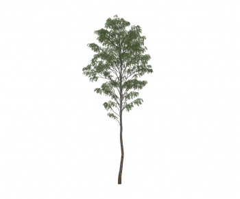 Modern Tree-ID:472003279