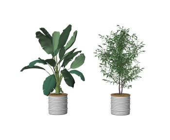 Modern Potted Green Plant-ID:152267831