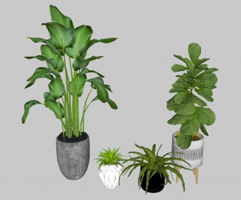 Nordic Style Potted Green Plant-ID:682366394