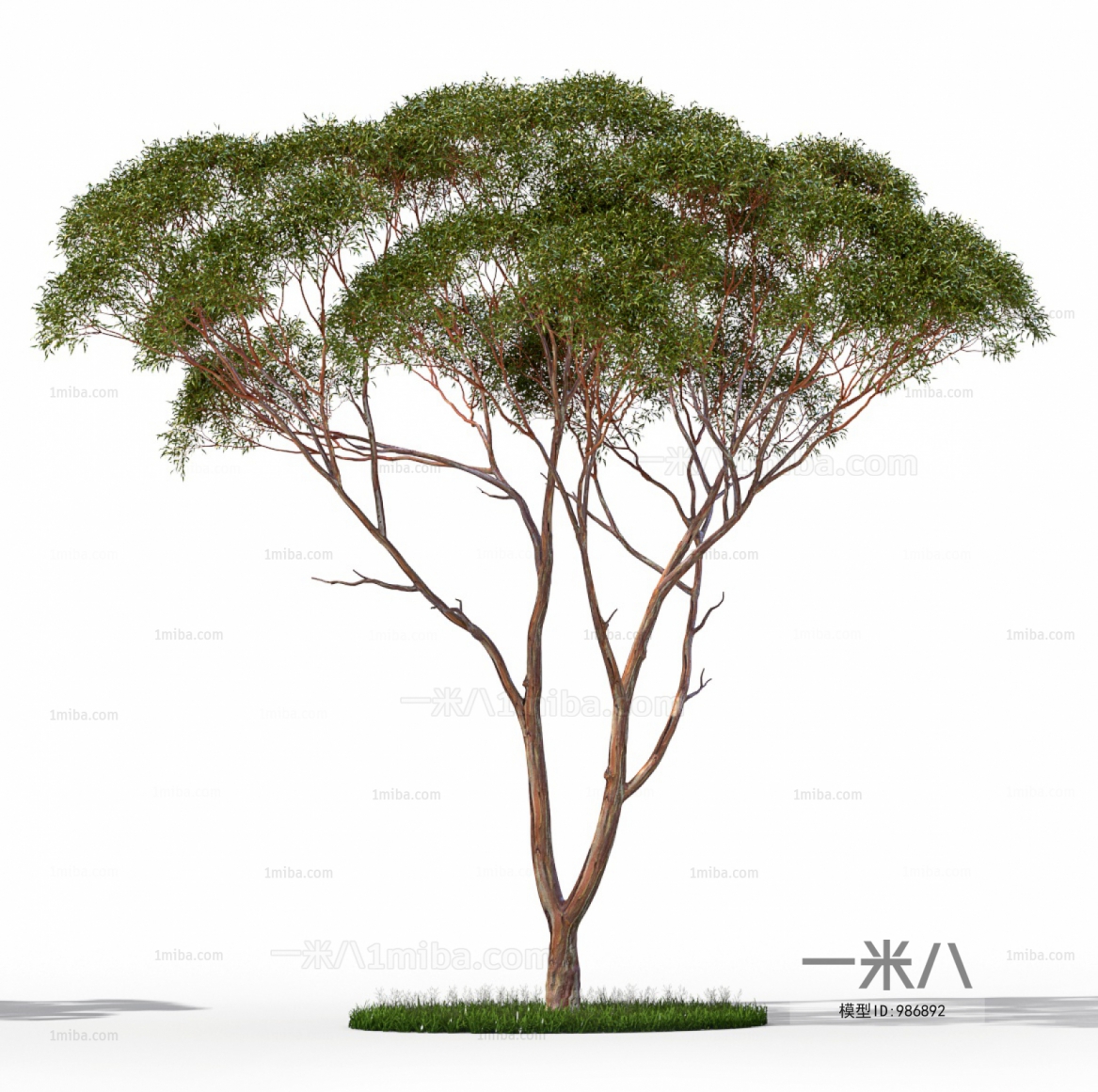 Modern Tree