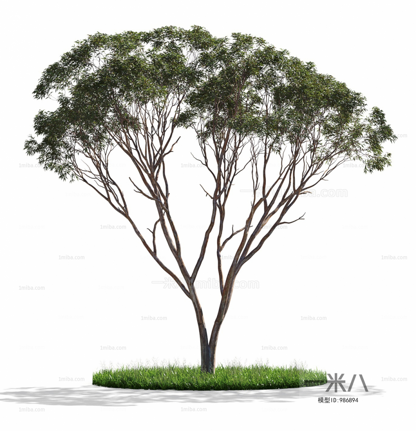 Modern Tree