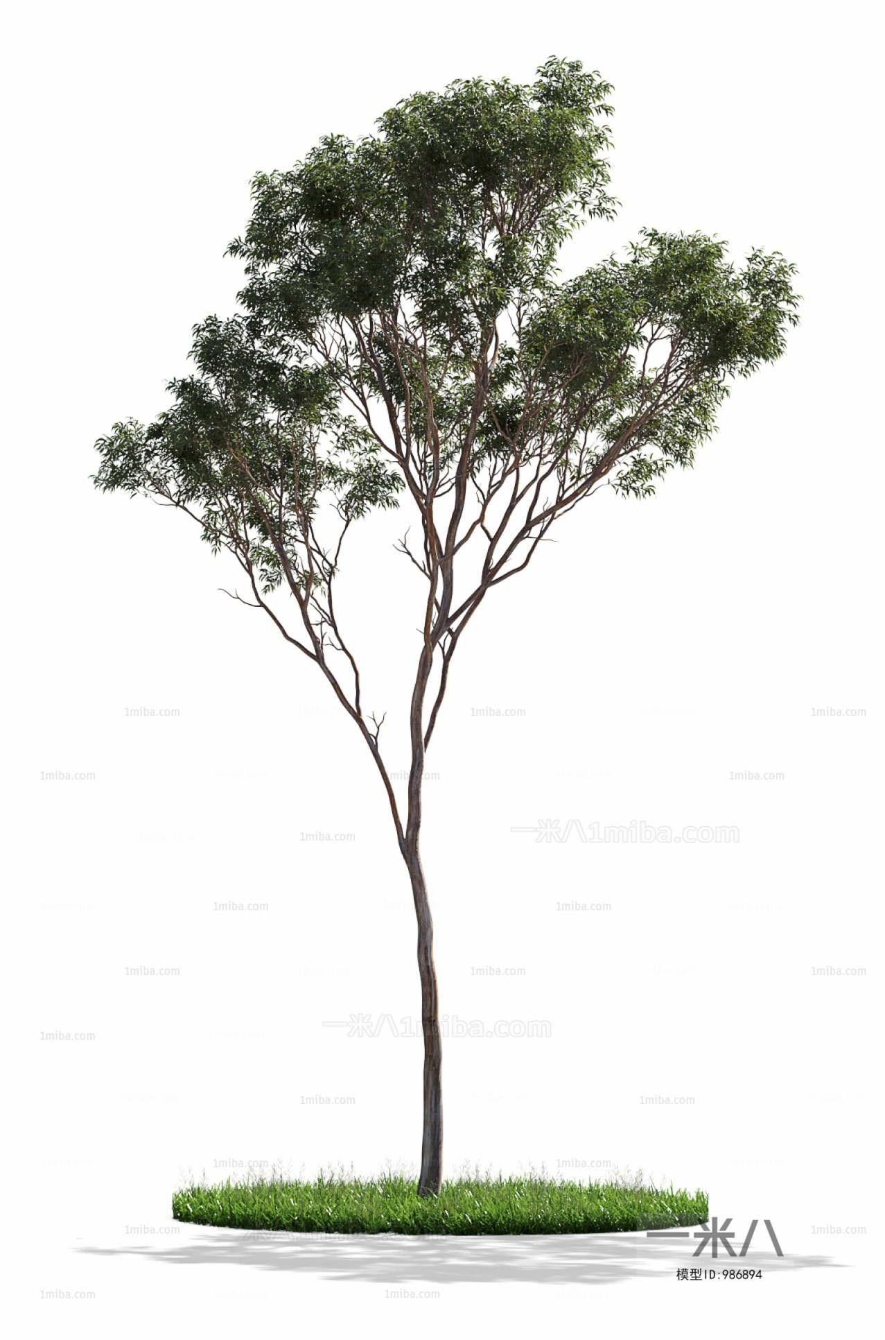 Modern Tree