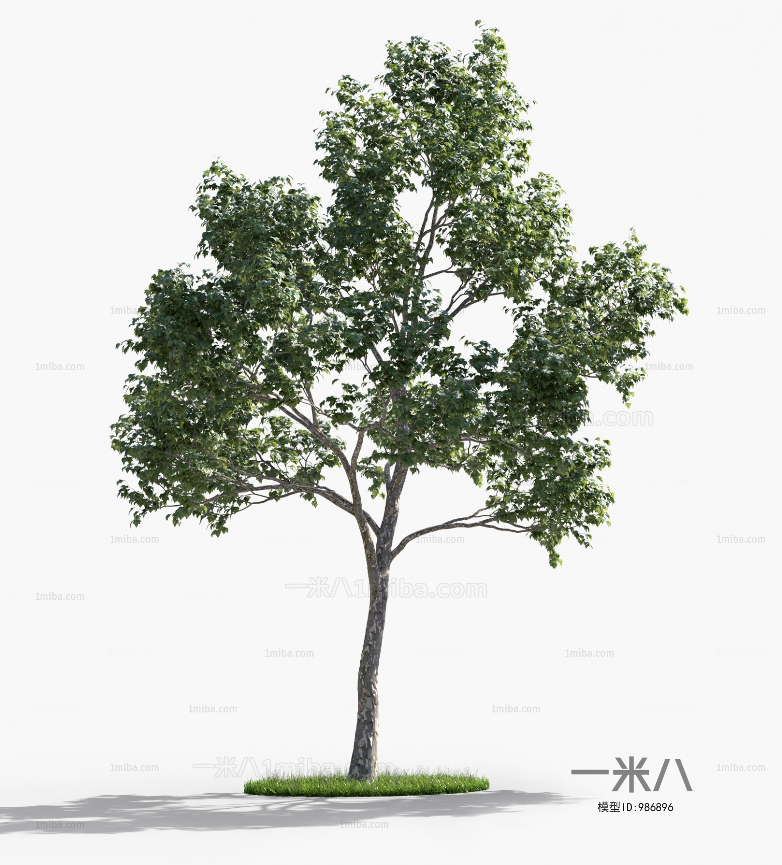 Modern Tree