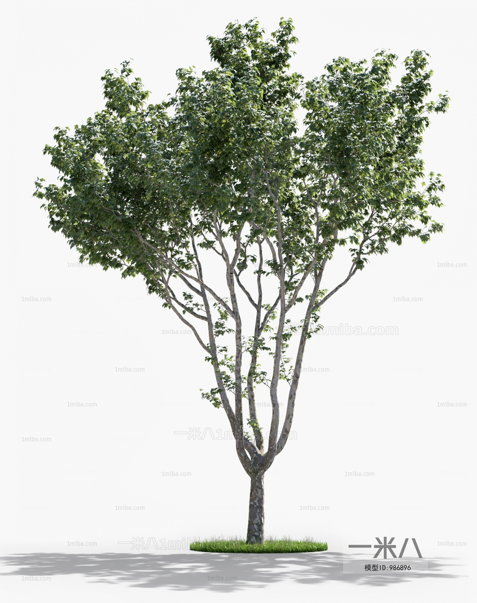 Modern Tree