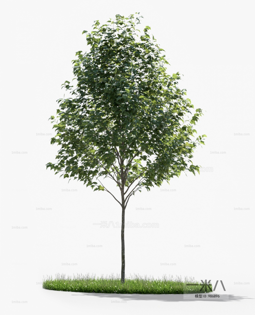 Modern Tree