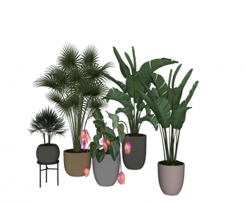 Modern Potted Green Plant-ID:477349792