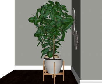 Modern Potted Green Plant-ID:835191978