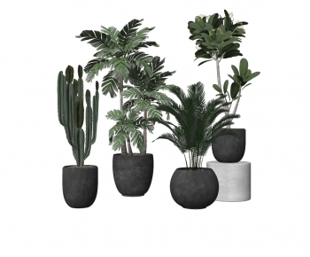 Modern Potted Green Plant-ID:273931826