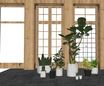 Modern Potted Green Plant-ID:955380669