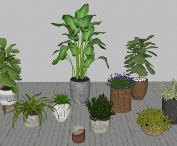 Modern Potted Green Plant-ID:819516433