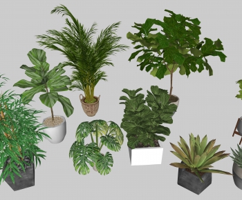 Modern Potted Green Plant-ID:786591739