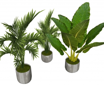 Modern Potted Green Plant-ID:508537594