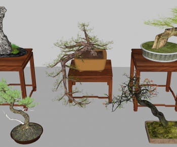 新中式实木角几罗汉松植物摆件-ID:304404915