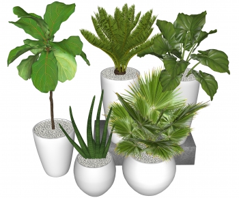 Modern Potted Green Plant-ID:767177325