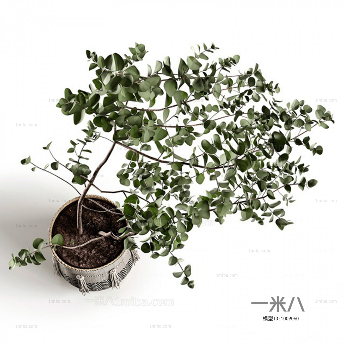 Modern Bonsai