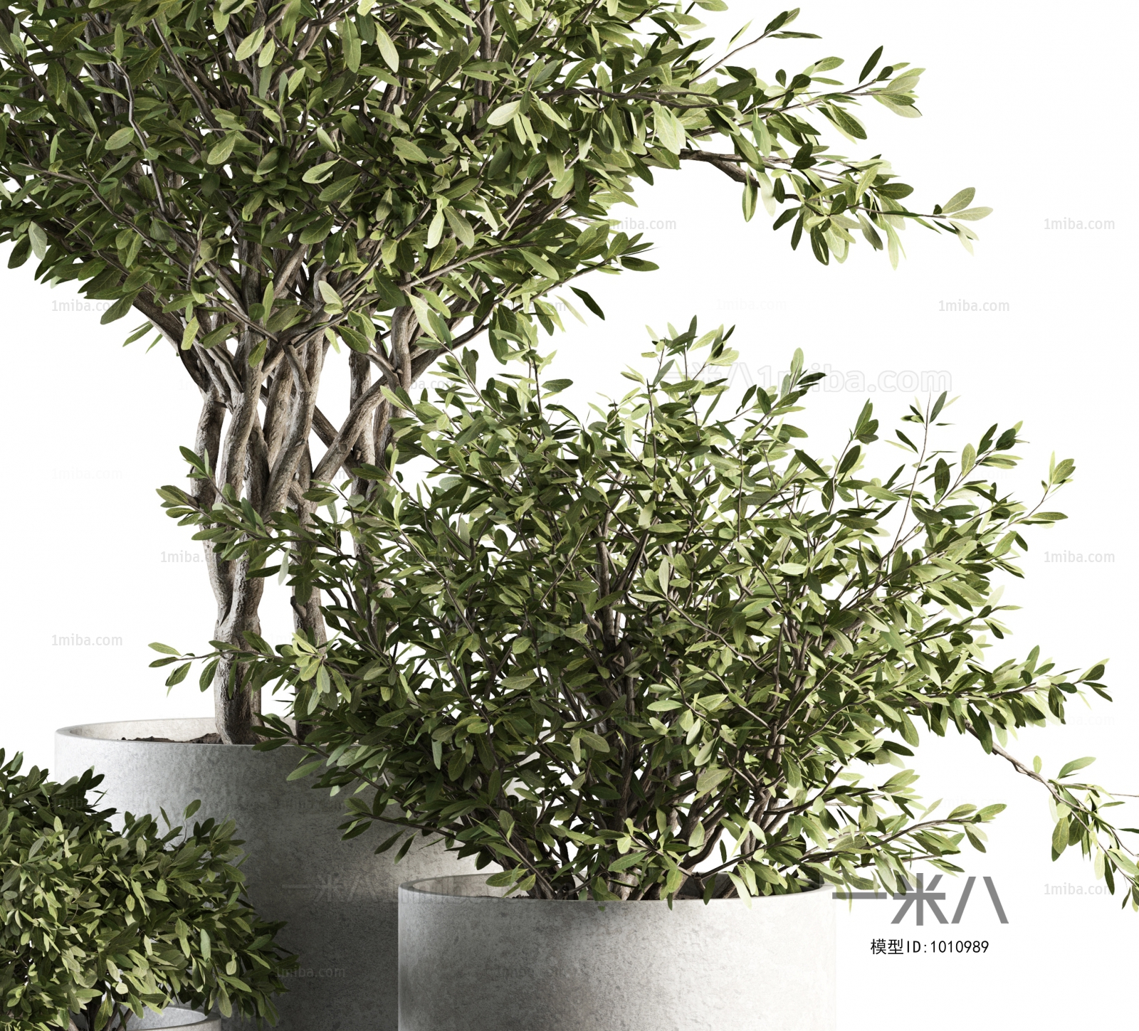 现代绿植盆栽3D模型下载