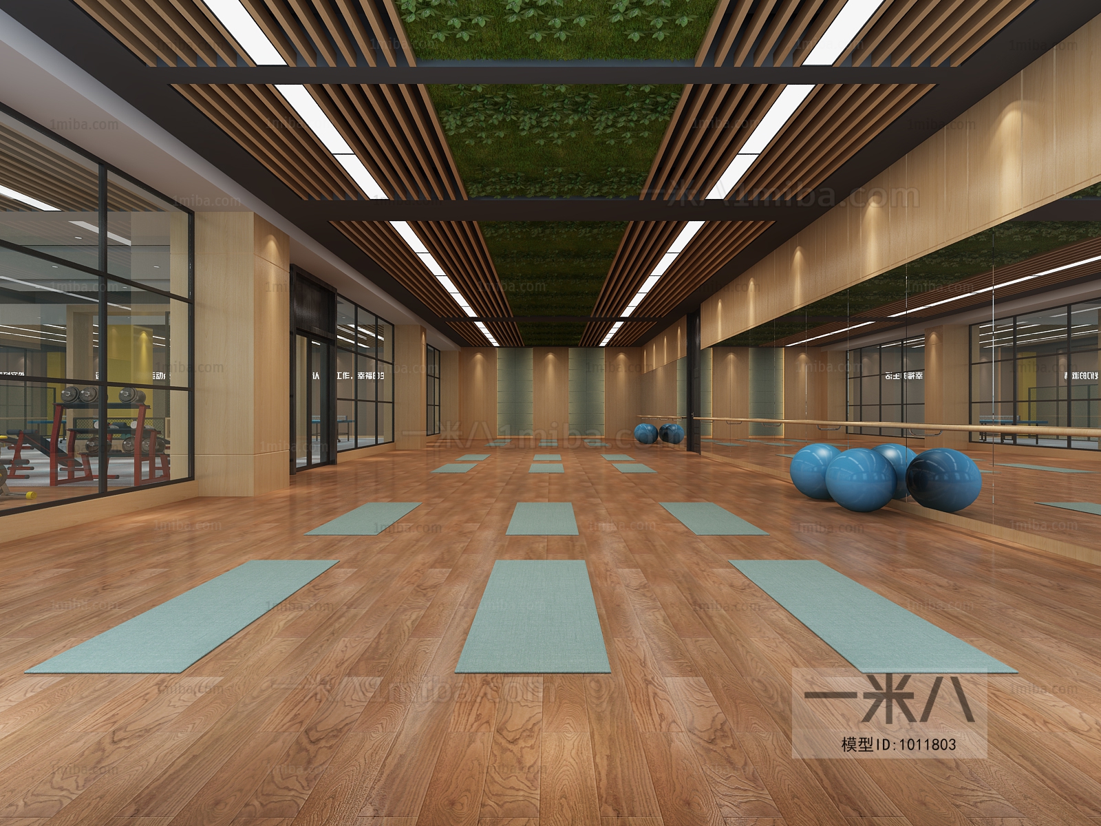 Modern Yoga Room