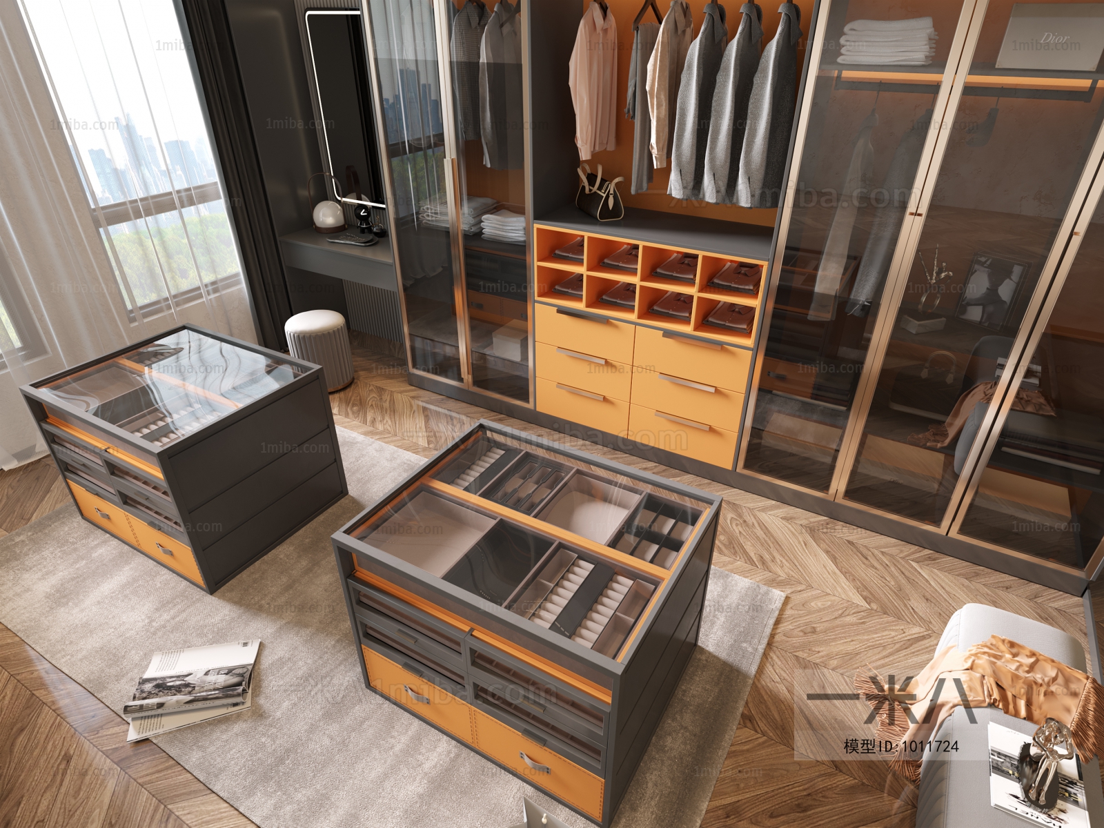 Modern Clothes Storage Area