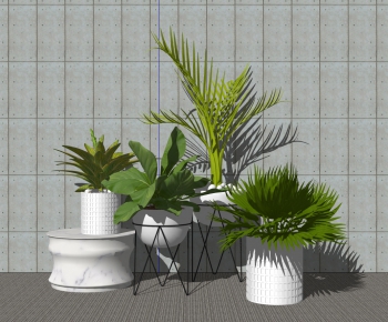 Modern Potted Green Plant-ID:185014013