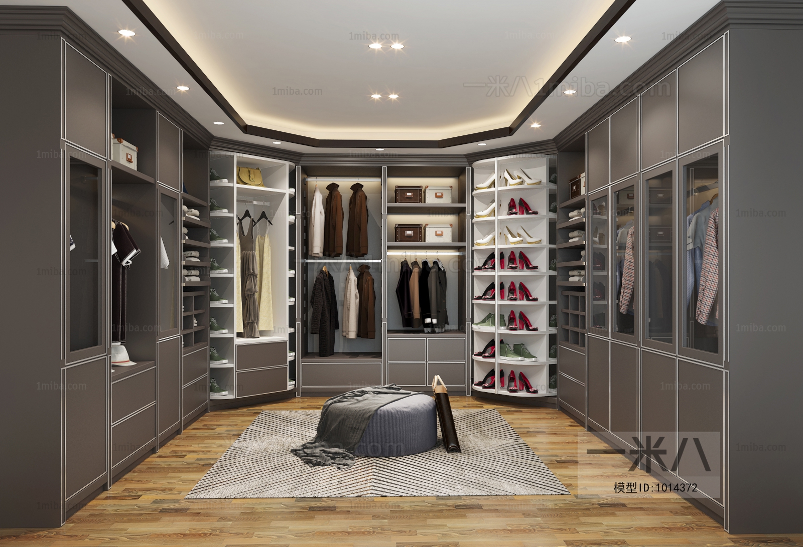 Modern Clothes Storage Area