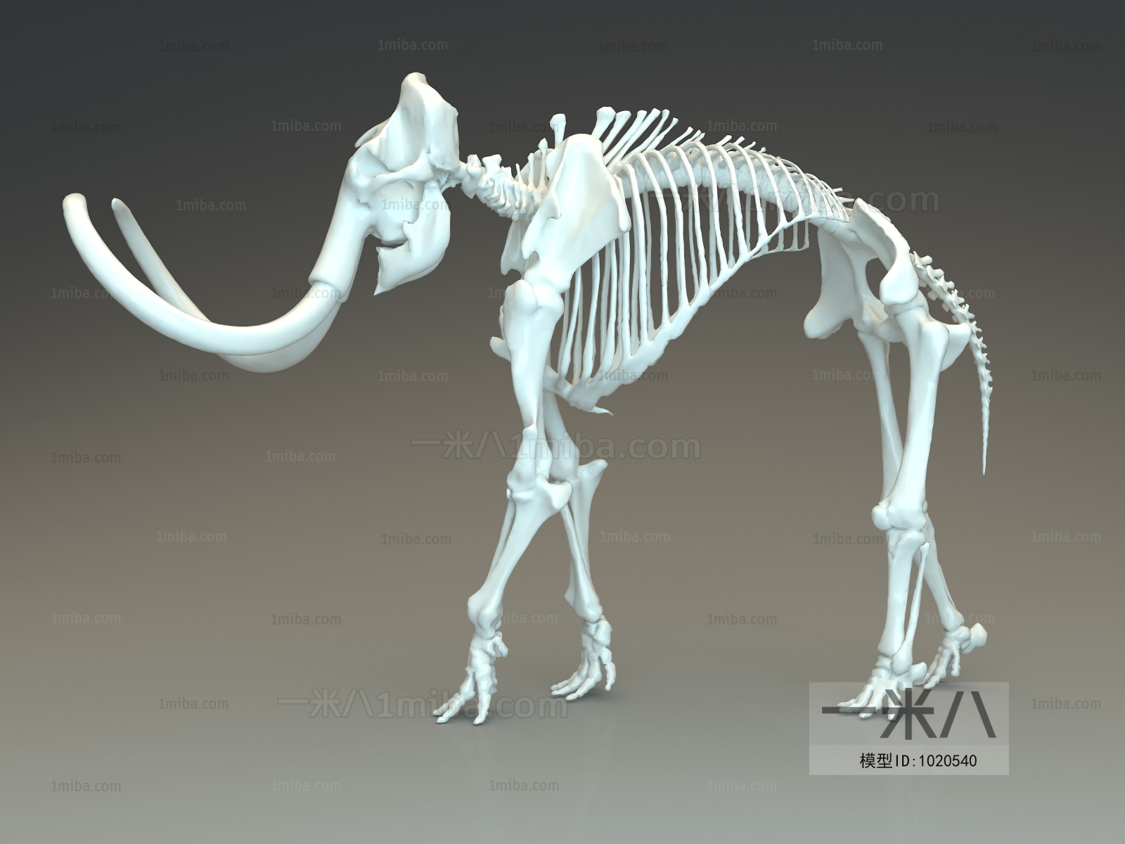 现代猛犸象骨架
