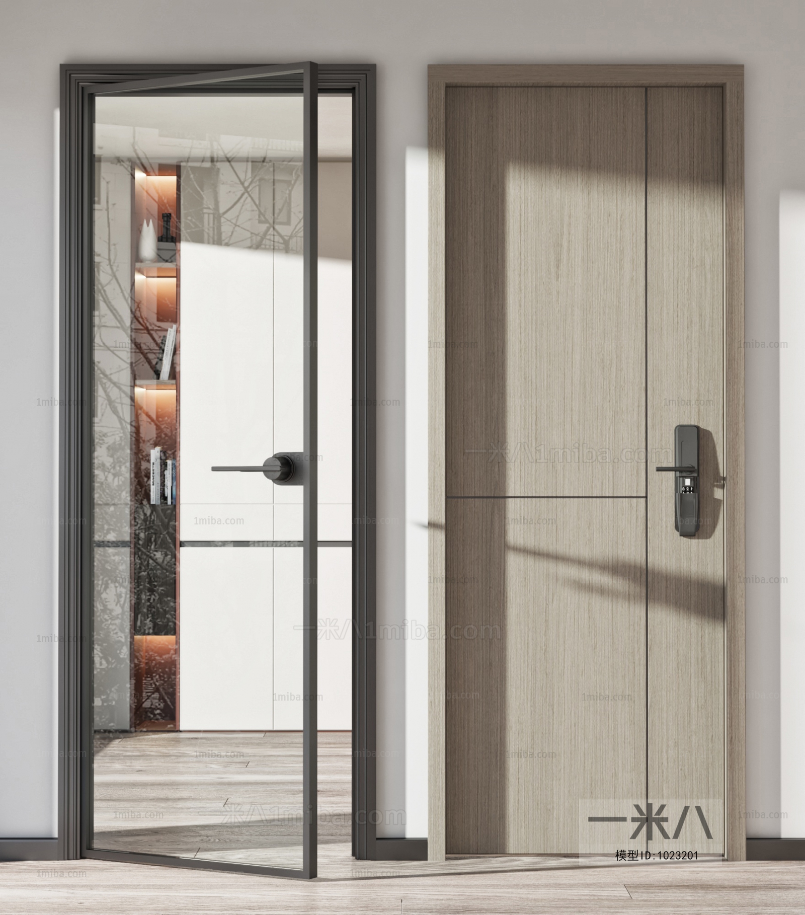 Modern Entrance Door