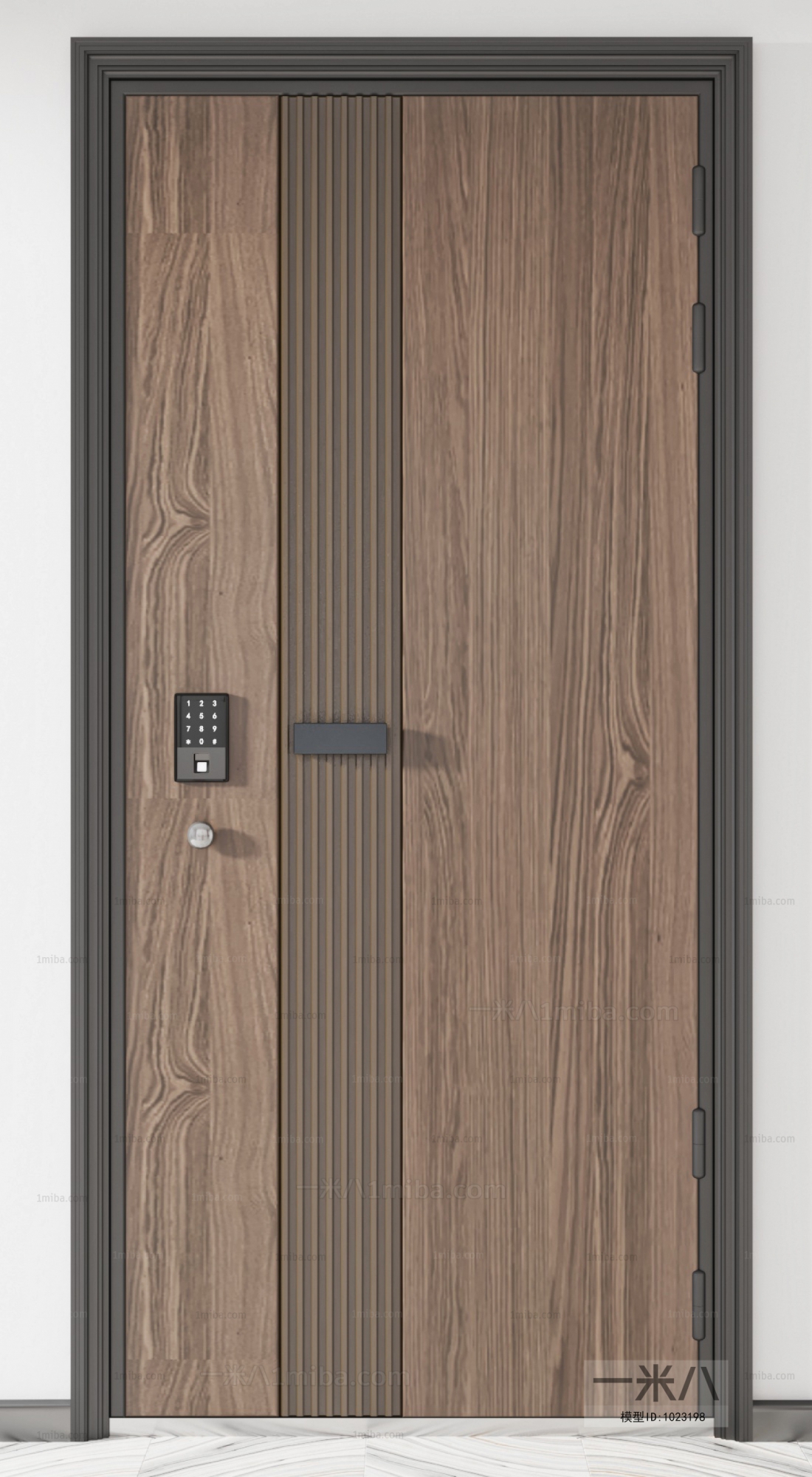 Modern Entrance Door