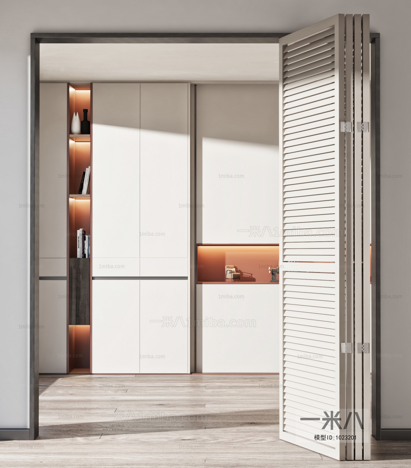 Modern Entrance Door