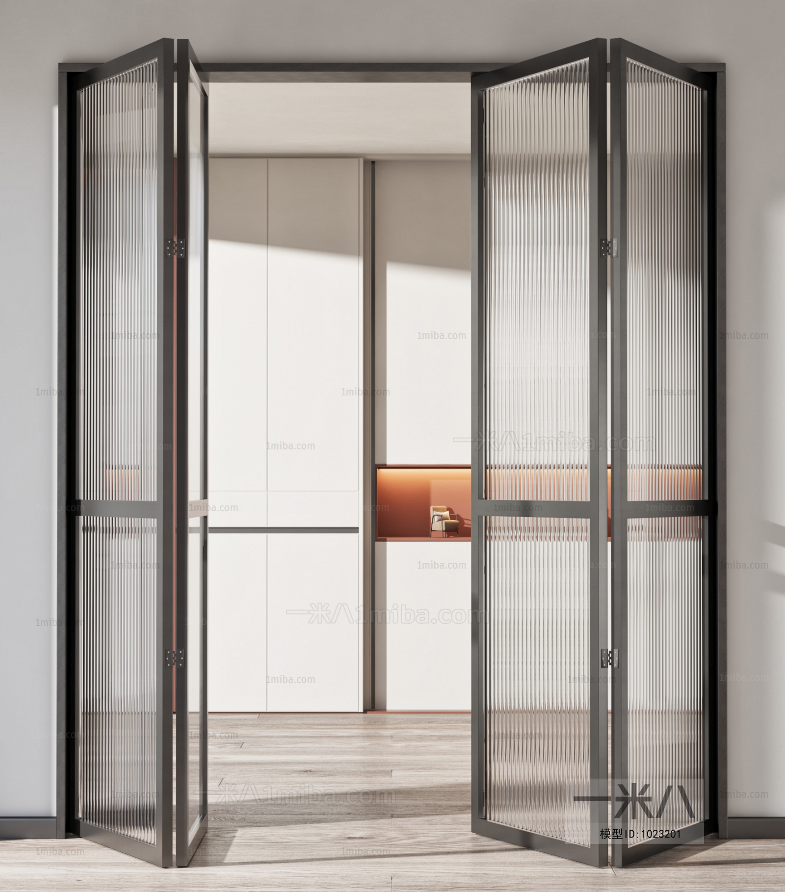 Modern Entrance Door