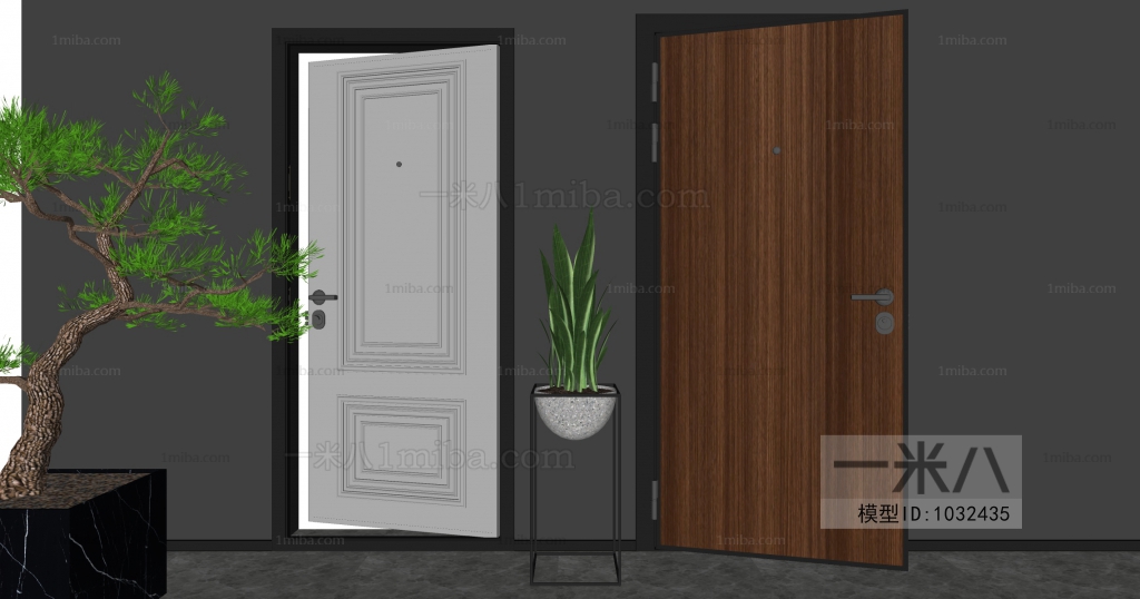 Modern Door